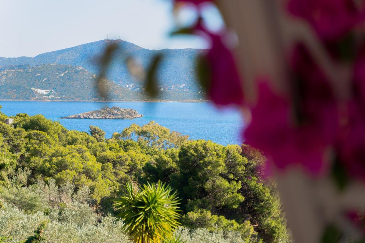 Villa Beis Porto Rafti Luaran gambar